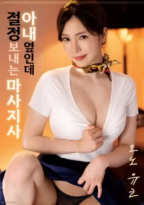 台湾剧情片老狐狸海报